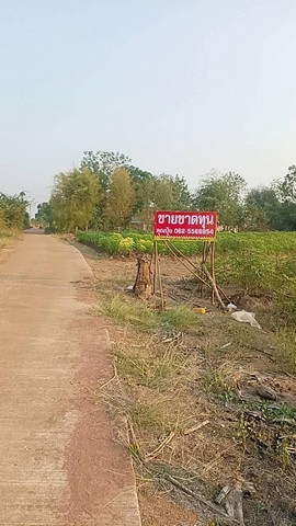 ขายที่ดินตำบลกลอนโดอำเภอด่านมะขามเตี้ย-ที่ดินถมแล้ว ที่ดินวิวภูเขา