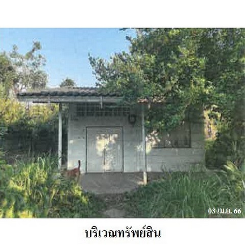ขายบ้านเดี่ยว ถนน ชลบุรี-แกลง (ทล. 334) ตำบล หนองชาก อำเภอ บ้านบึง จังหวัด ชลบุรี