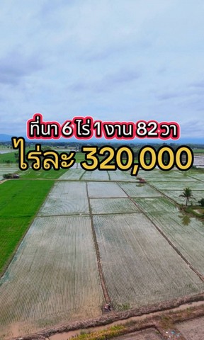  ที่นา ราคาถูกสุดคุ้ม  ถ.แม่ไร่ บ้านแม่คำ อ.แม่จัน จ.เชียงราย