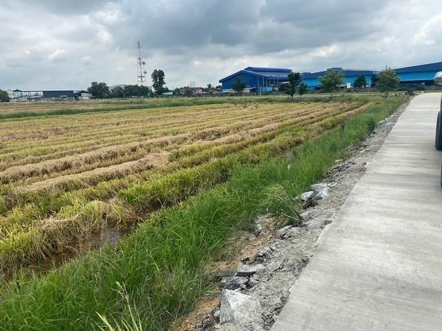ขายที่ดิน เนื้อที่ 5-40 ไร่ ถ.คลองอุดมชลจร อ.ฉะเชิงเทรา ถมที่ดินให้ฟรีเสมอถนน (เขต EEC)