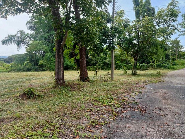 ขายที่ดิน 2-3-8ไร่ 2.8ลบ. ต่ำกว่าราคาประเมิน ถนน น้ำประปา ไฟฟ้า ใกล้วัดห้วยปลากั้ง สภ.แม่ยาว ต.แม่ยาว อ.เมือง เชียงราย