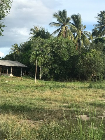ขายที่ดินวิวธรรมชาติ เจ้าของขายเอง 1 ไร่ 2 งาน ตำบลเขากระปุก อำเภอท่ายาง จังหวัดเพชรบุรี