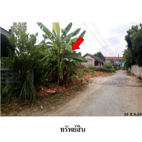 ขายที่่่ดินว่างเปล่า ถนน พาณิชพัฒนา 1 ตำบล พนัสนิคม อำเภอ พนัสนิคม จังหวัด ชลบุรี